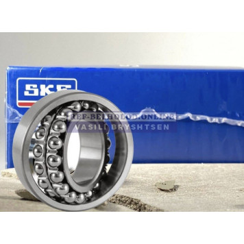 Bearing 04-60001-00, SKF-1