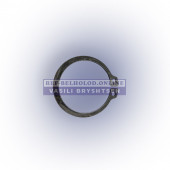 Retaining ring