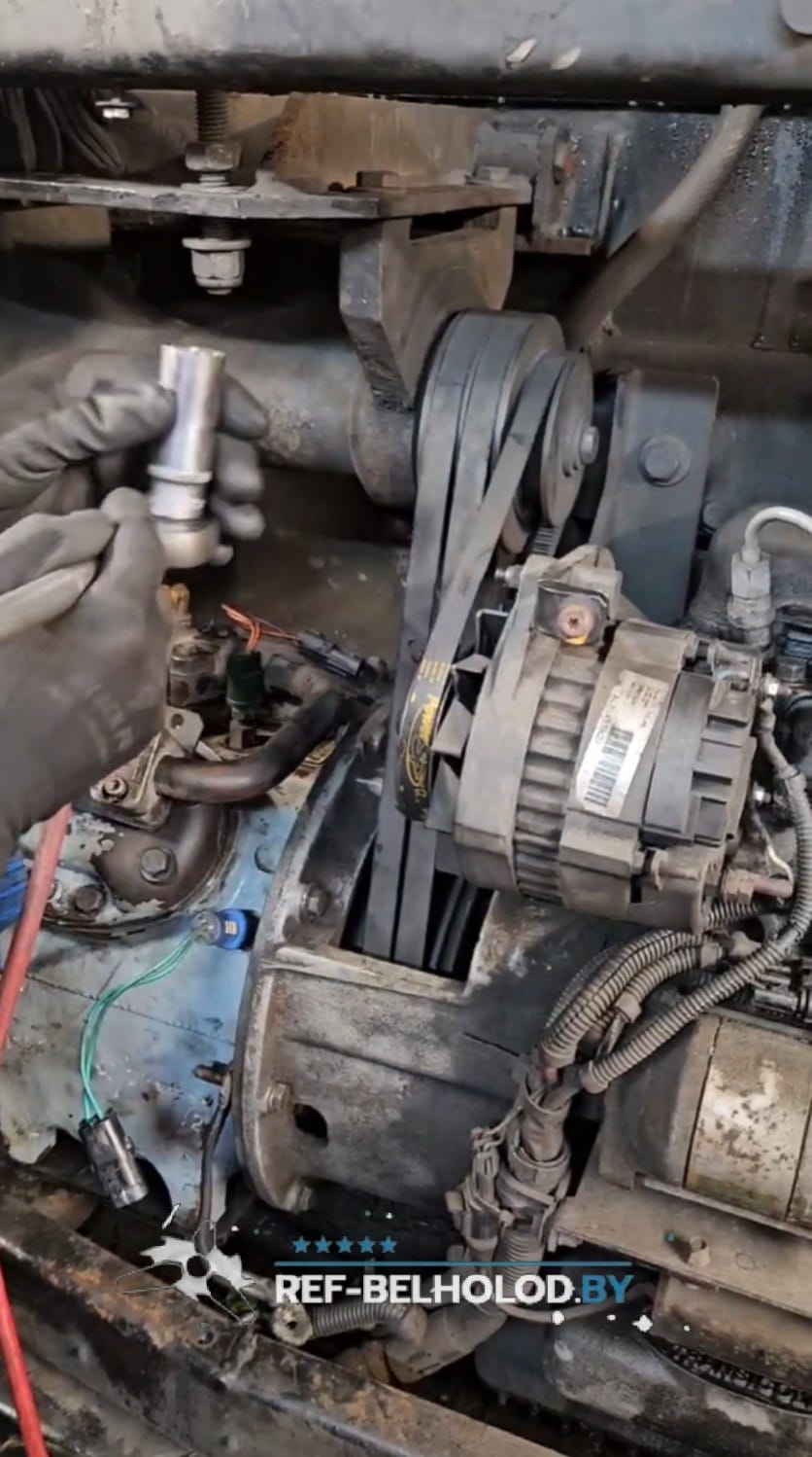 Filter drier replacement and O-ring lubrication on reefer